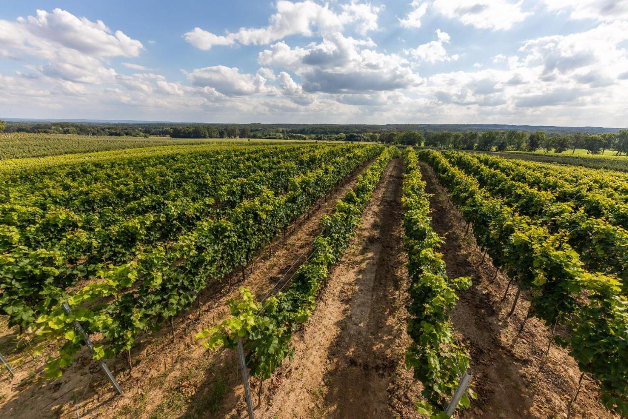 Winnica Anna Noclegi Krosnice Exteriör bild